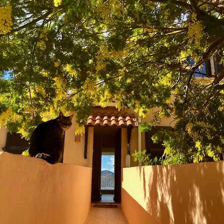 Les Marines Du Soleil *