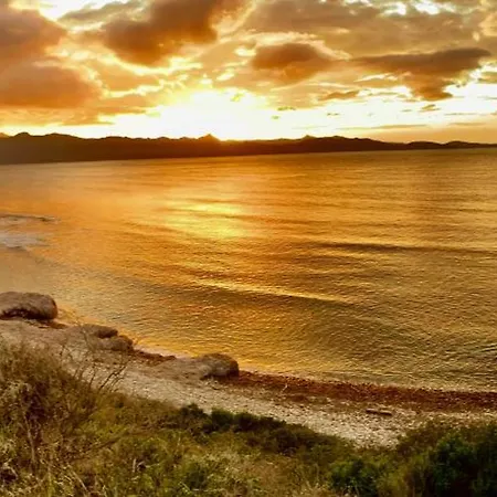 Les Marines Du Soleil パトリモニオ