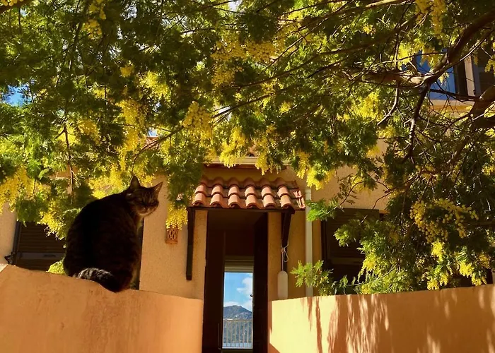 Les Marines Du Soleil *